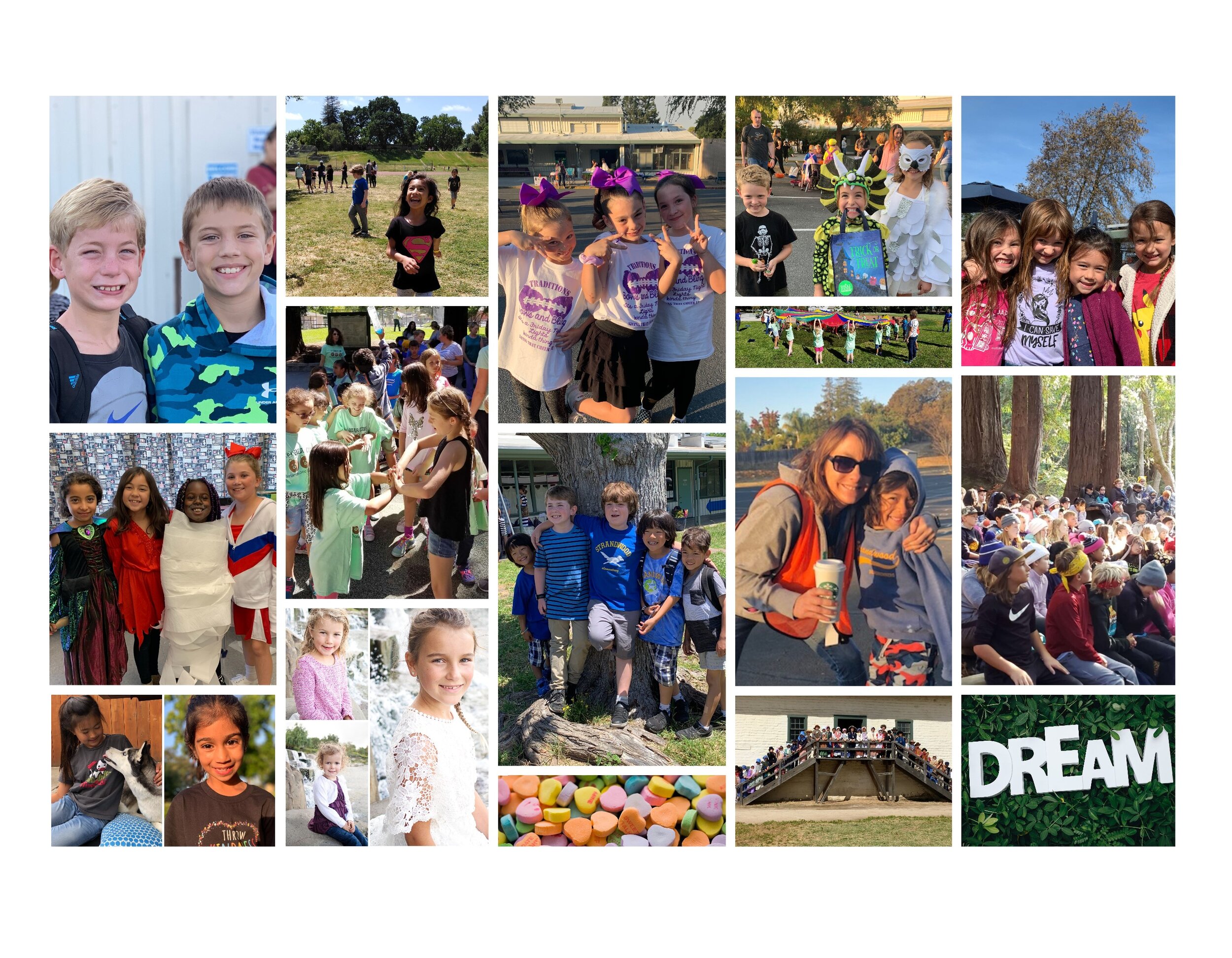 Students and families from the Strandwood community